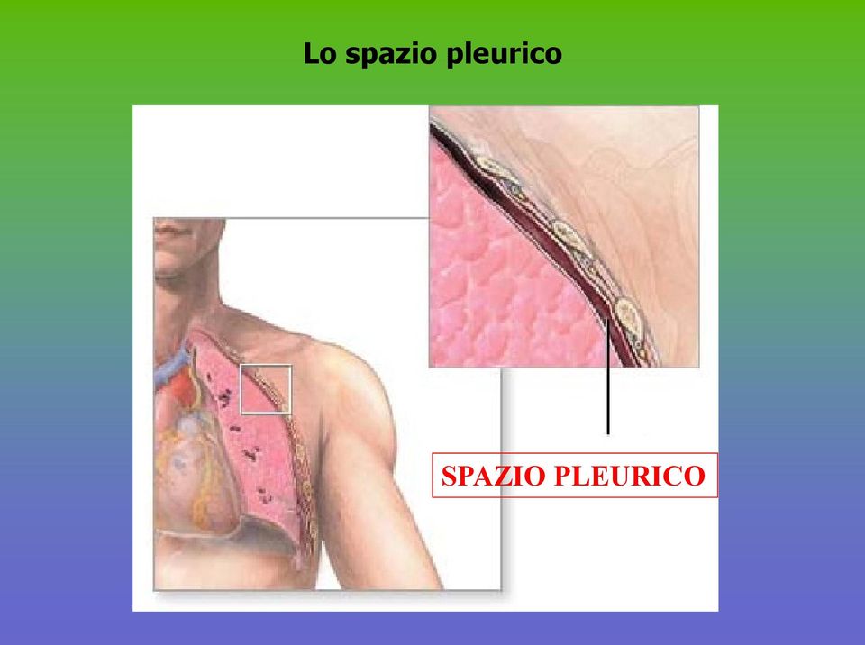 SPAZIO