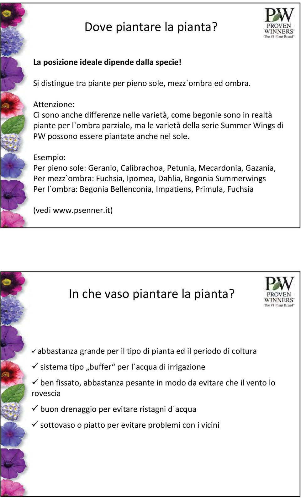 Esempio: Per pieno sole: Geranio, Calibrachoa, Petunia, Mecardonia, Gazania, Per mezz`ombra: Fuchsia, Ipomea, Dahlia, Begonia Summerwings Per l`ombra: Begonia Bellenconia, Impatiens, Primula, Fuchsia