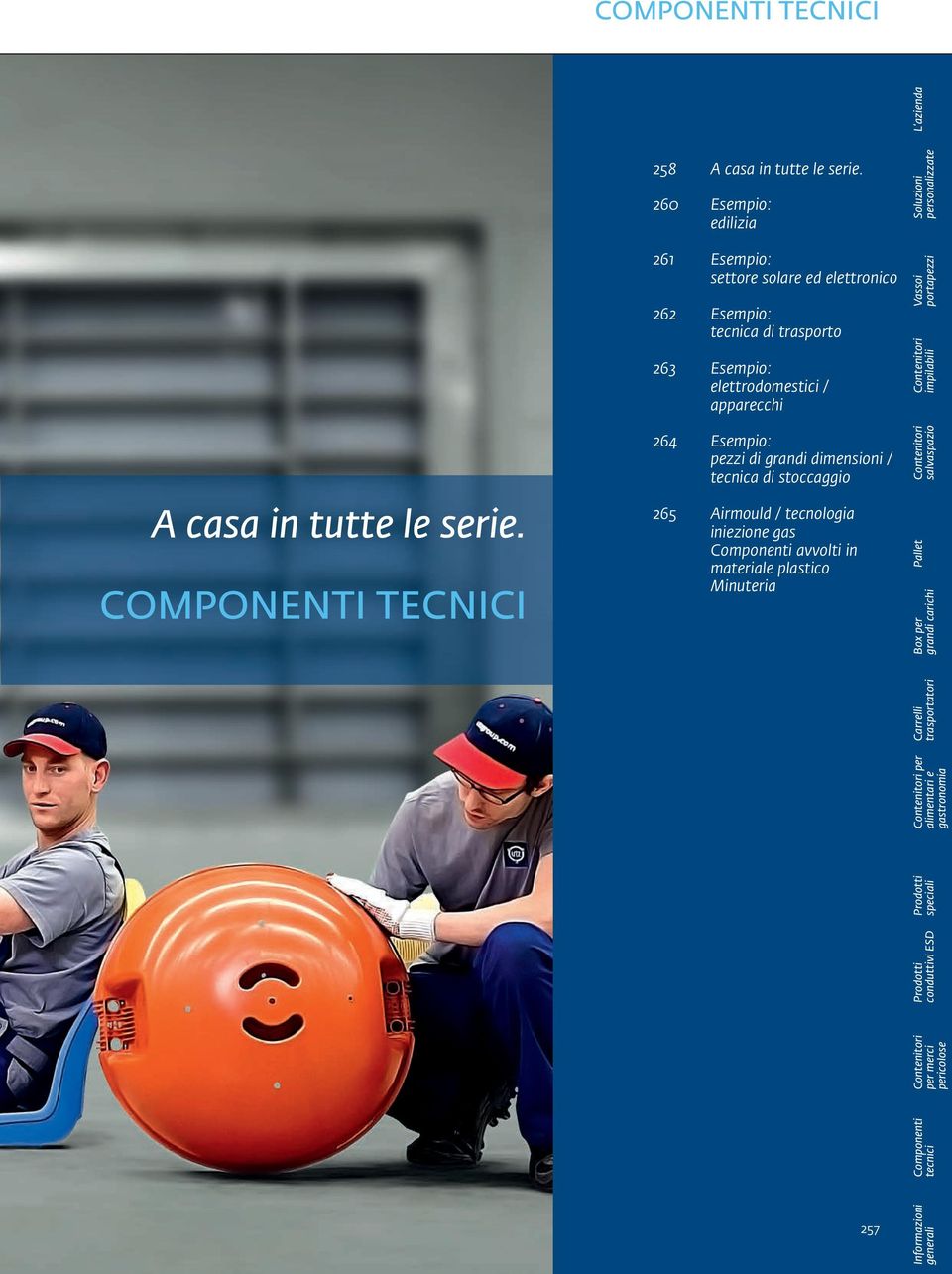 COMPONENTI TECNICI 264 Esempio: pezzi di grandi dimensioni / tecnica di stoccaggio 265 Airmould / tecnologia iniezione gas Componenti avvolti in materiale plastico Minuteria