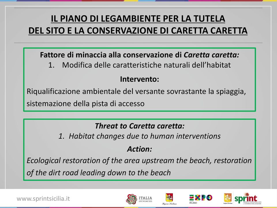 Modifica delle caratteristiche naturali dell habitat Intervento: Riqualificazione ambientale del versante sovrastante la