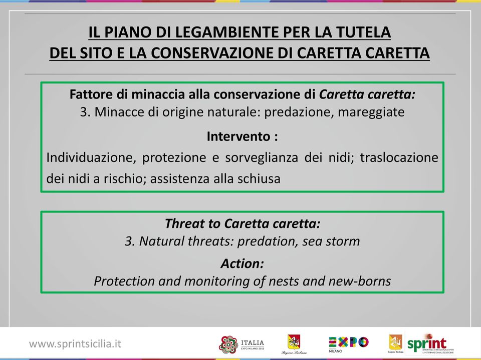 Minacce di origine naturale: predazione, mareggiate Intervento : Individuazione, protezione e sorveglianza dei