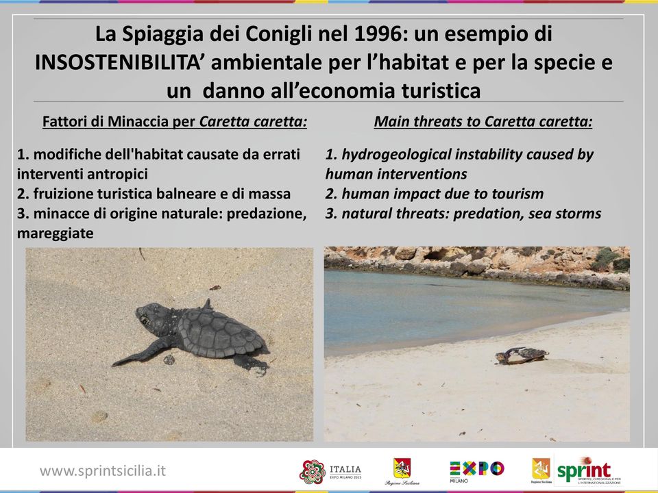 modifiche dell'habitat causate da errati interventi antropici 2. fruizione turistica balneare e di massa 3.