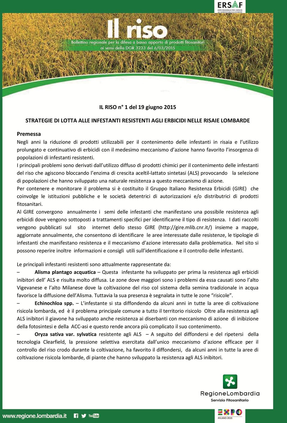 I principali problemi sono derivati dall utilizzo diffuso di prodotti chimici per il contenimento delle infestanti del riso che agiscono bloccando l enzima di crescita aceltil-lattato sintetasi (ALS)