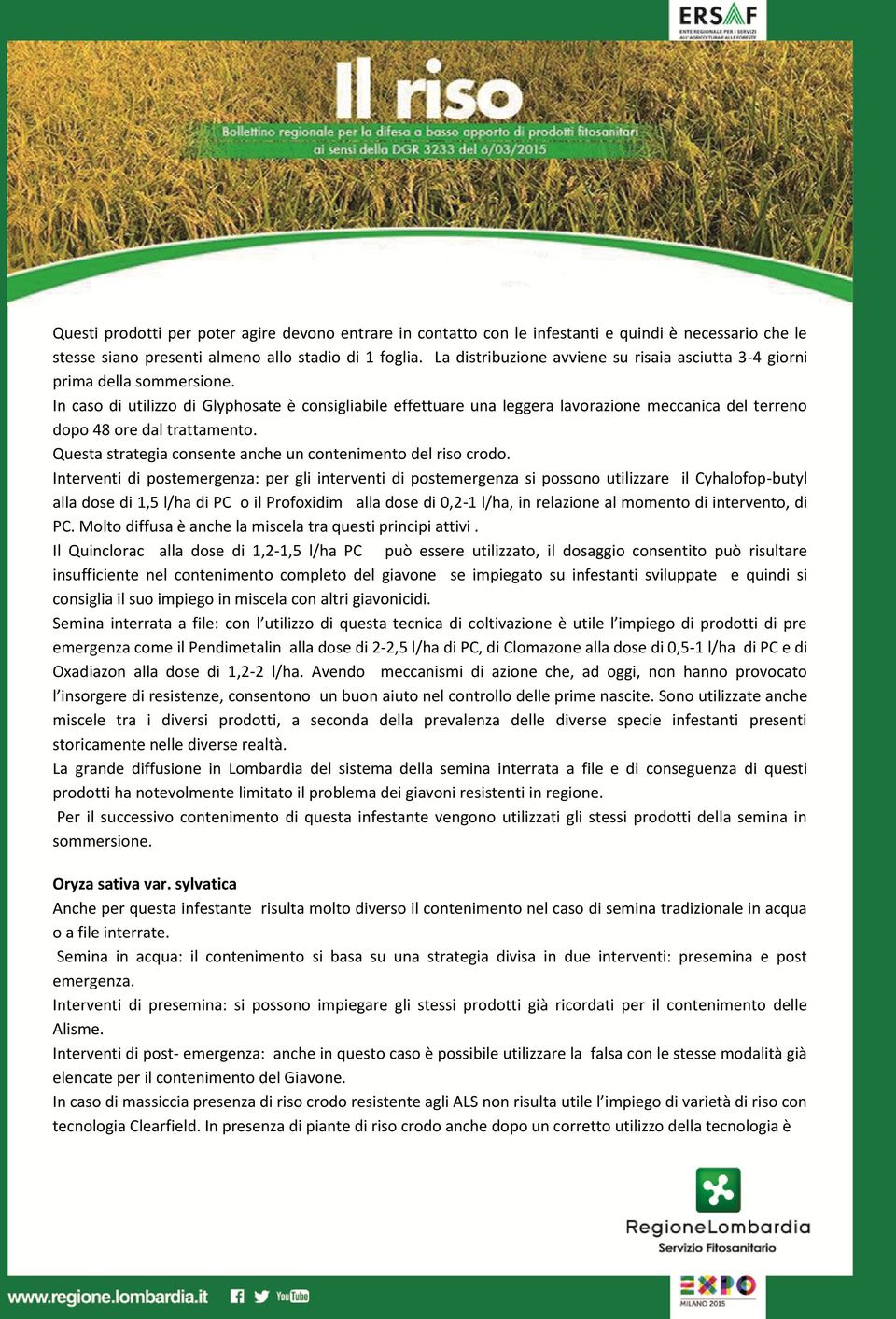 In caso di utilizzo di Glyphosate è consigliabile effettuare una leggera lavorazione meccanica del terreno dopo 48 ore dal trattamento. Questa strategia consente anche un contenimento del riso crodo.