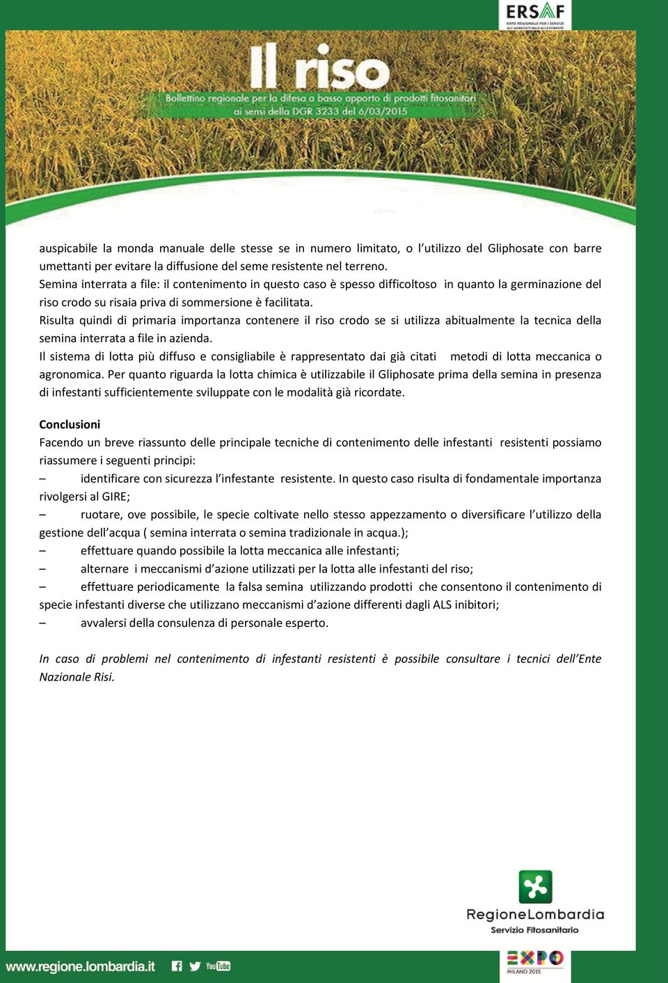 Risulta quindi di primaria importanza contenere il riso crodo se si utilizza abitualmente la tecnica della semina interrata a file in azienda.