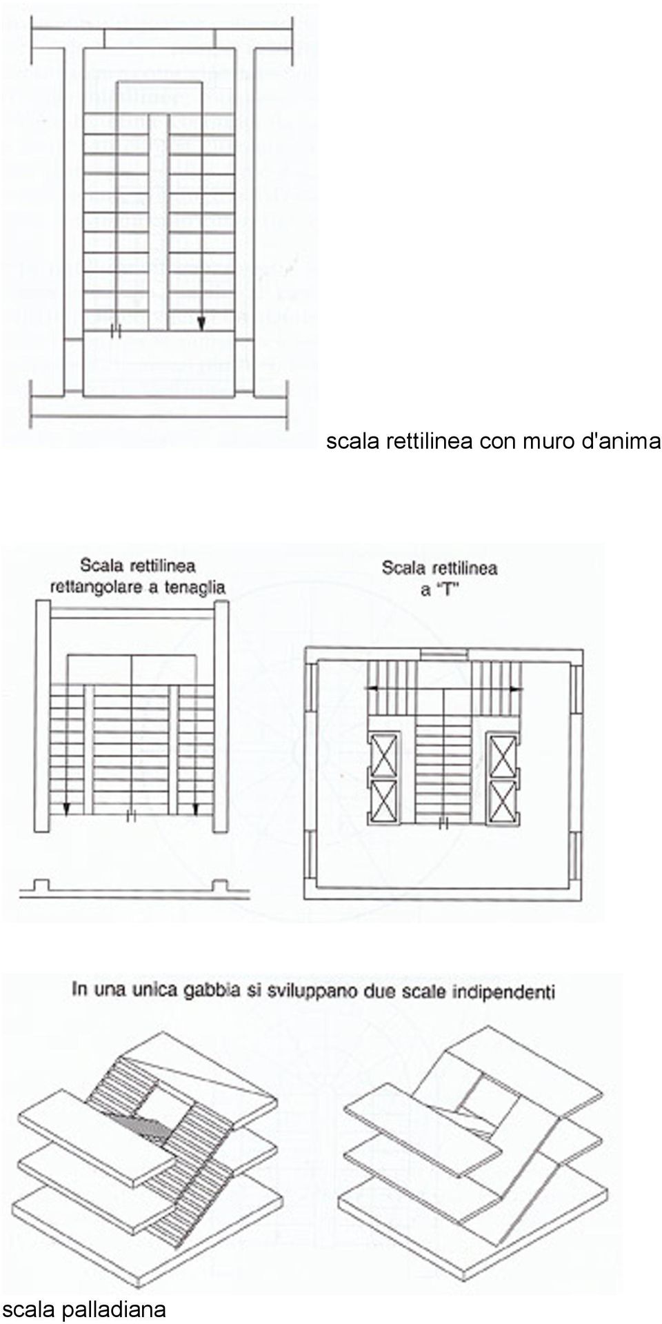 rettilinea