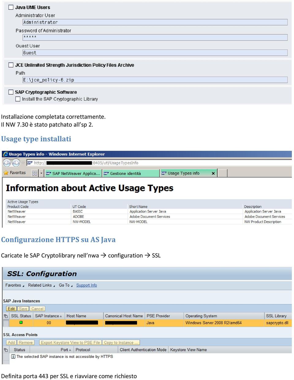 Usage type installati Configurazione HTTPS su AS Java