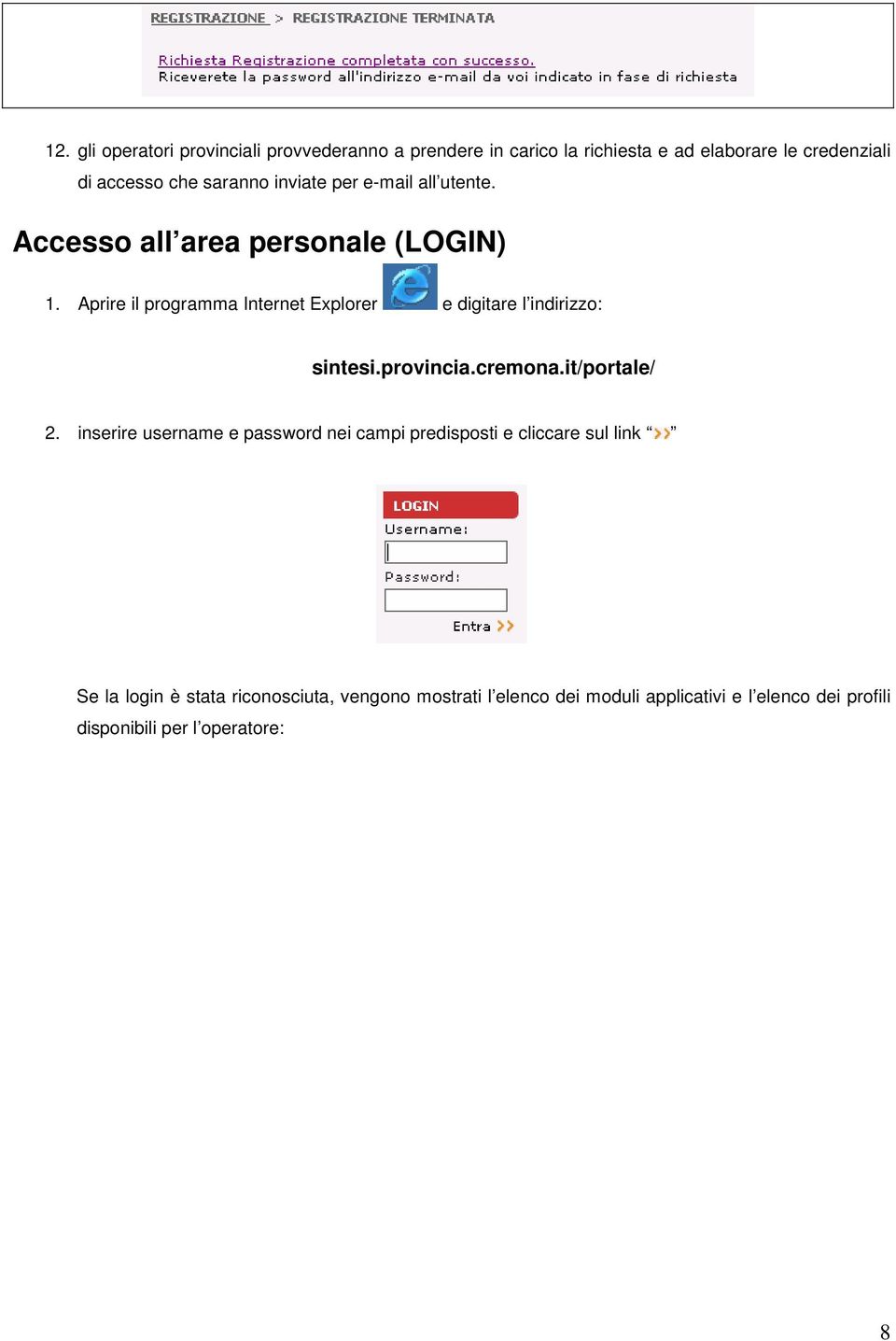 Aprire il programma Internet Explorer e digitare l indirizzo: sintesi.provincia.cremona.it/portale/ 2.