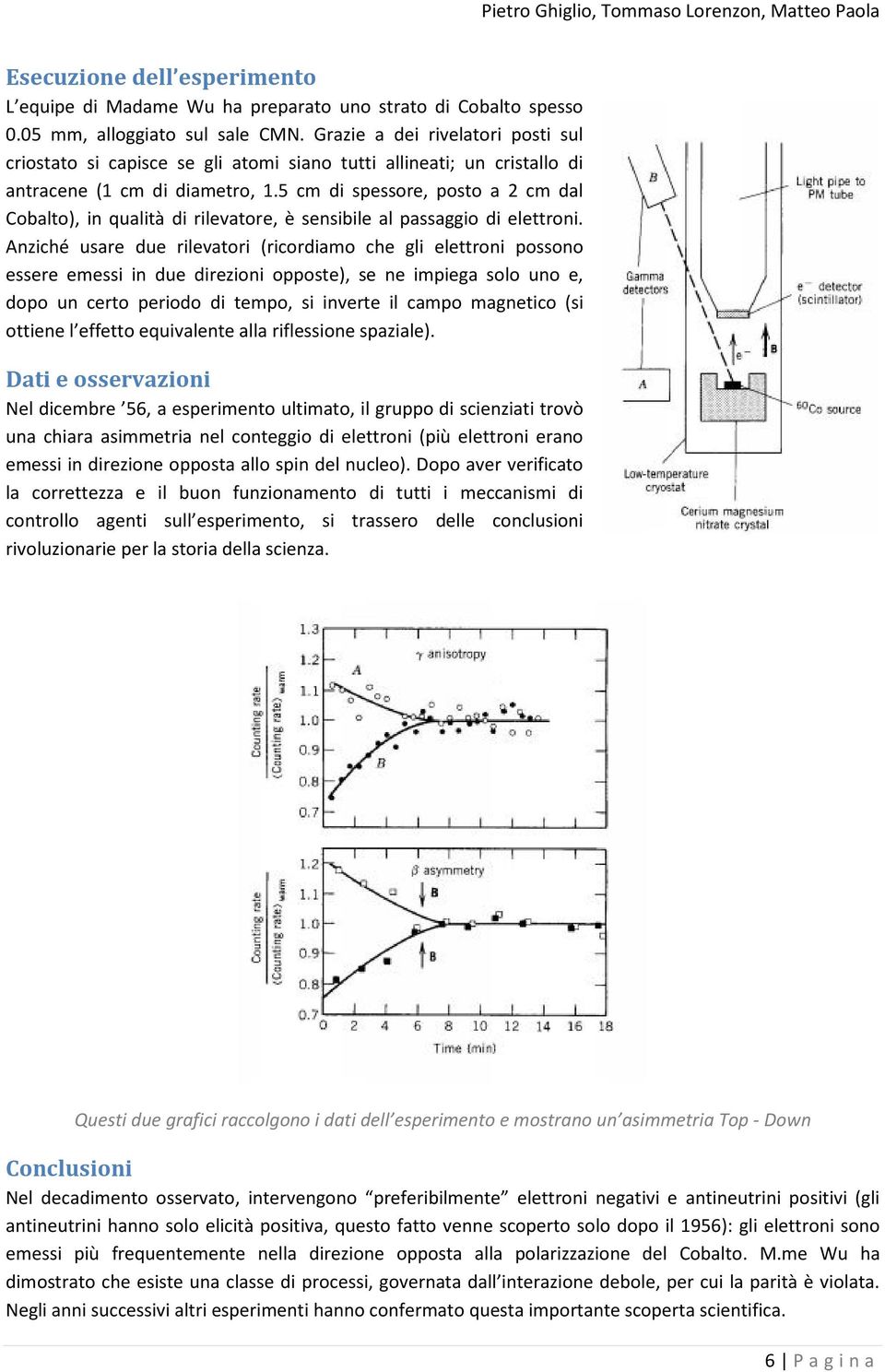 5 cm di spessore, posto a 2 cm dal Cobalto), in qualità di rilevatore, è sensibile al passaggio di elettroni.