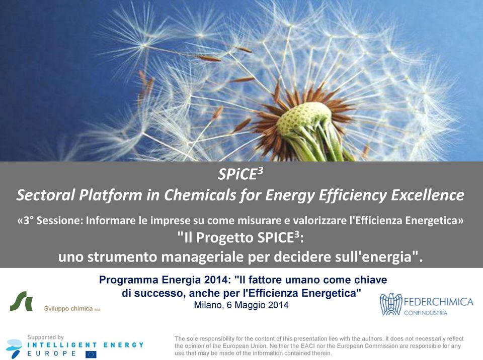 Programma Energia 2014: "Il fattore umano come chiave di successo, anche per l'efficienza Energetica" Milano, 6 Maggio 2014 The sole responsibility for the