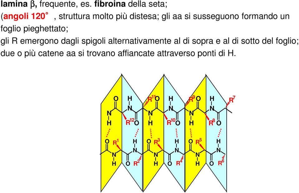 formando un foglio pieghettato; gli R emergono dagli spigoli alternativamente al di