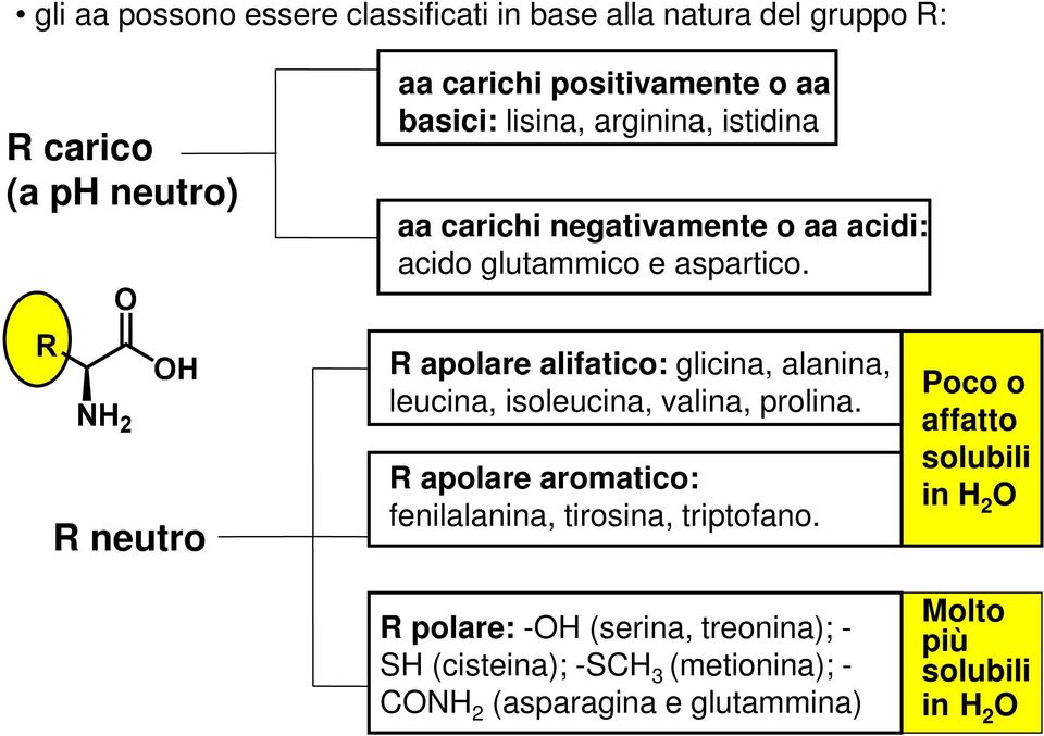 R neutro R apolare alifatico: glicina, alanina, leucina, isoleucina, valina, prolina.