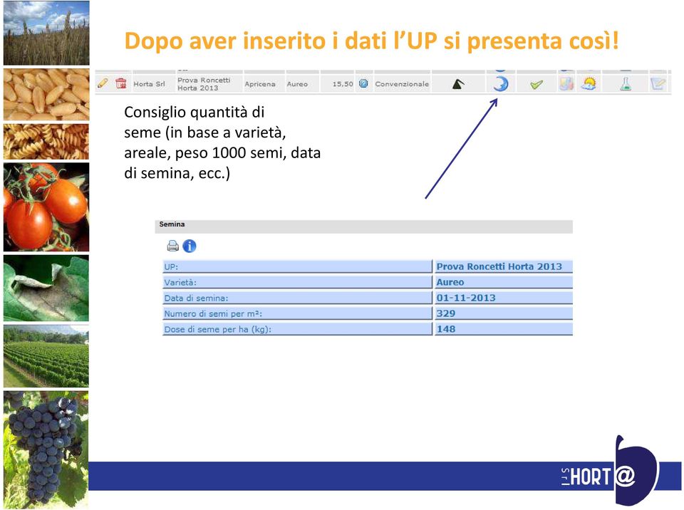 Consiglio quantità di seme (in base