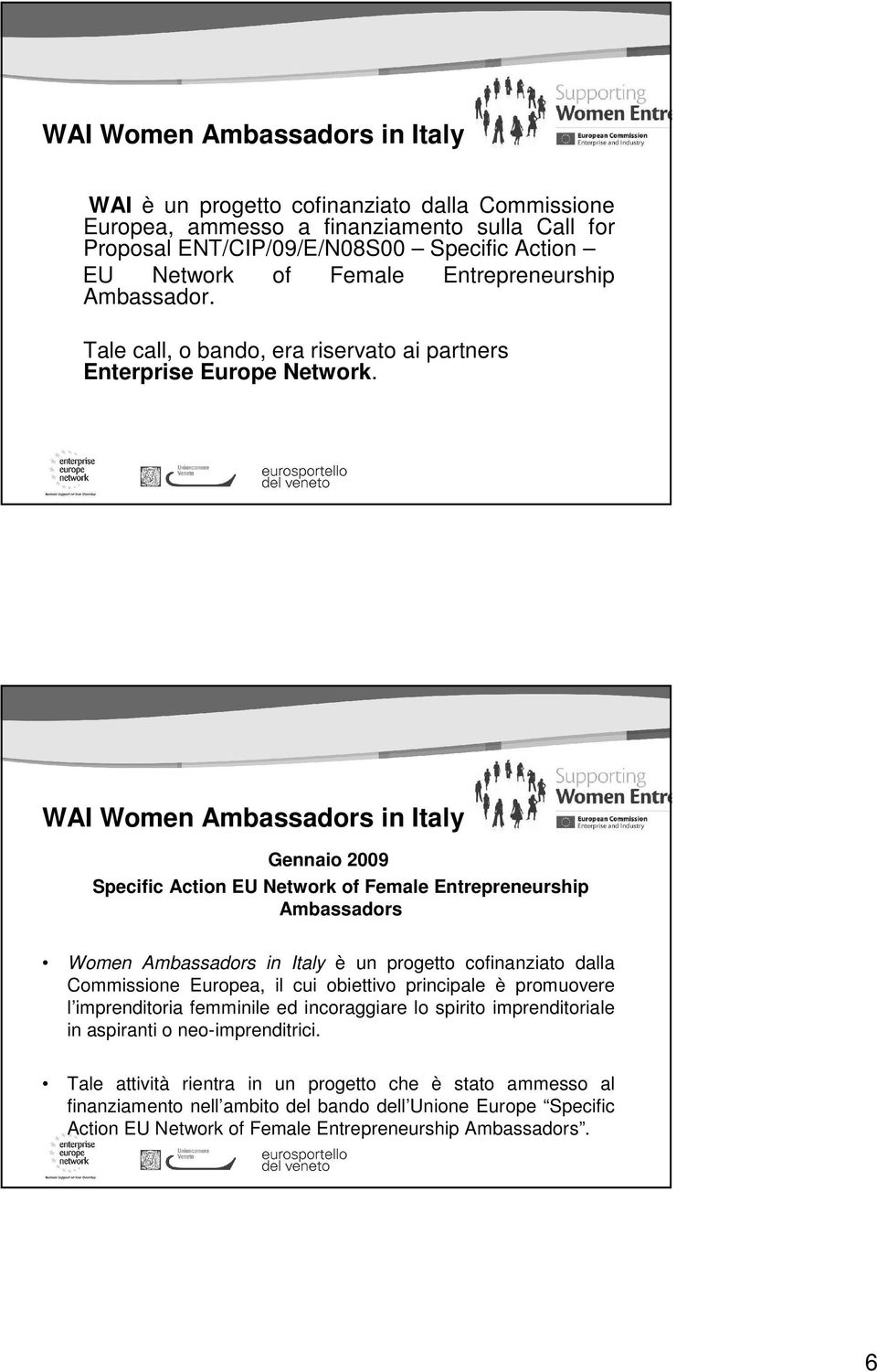 WAI Women Ambassadors in Italy Gennaio 2009 Specific Action EU Network of Female Entrepreneurship Ambassadors Women Ambassadors in Italy è un progetto cofinanziato dalla Commissione Europea, il cui