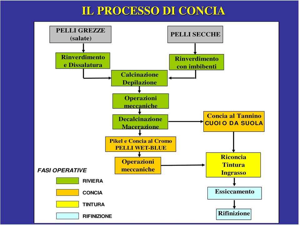 imbibenti Concia al Tannino CUOIO DA SUOLA FASI OPERATIVE RIVIERA CONCIA Pikel e Concia al