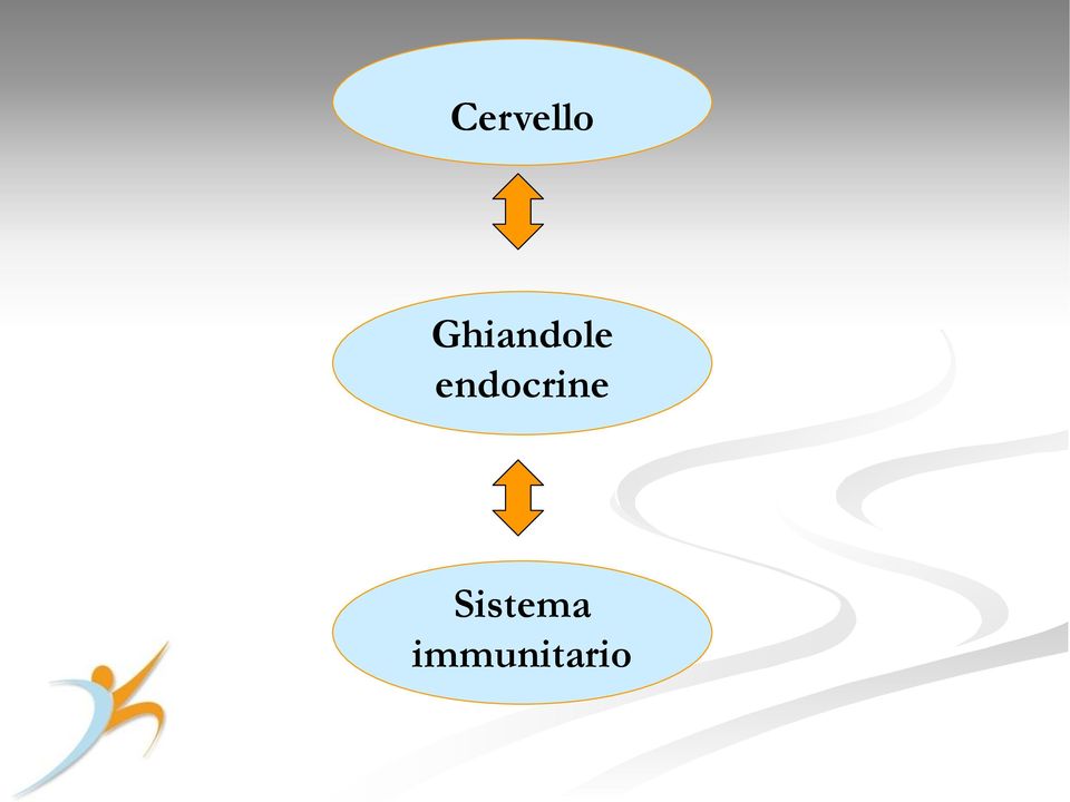 endocrine