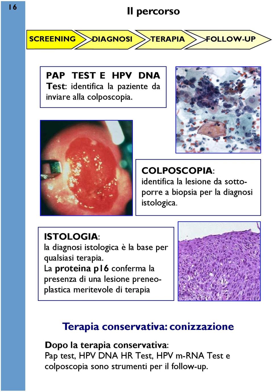 ISTOLOGIA: la diagnosi istologica è la base per qualsiasi terapia.