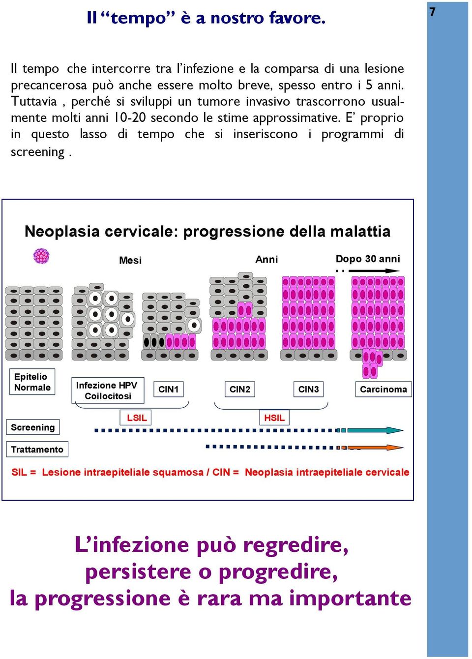 E proprio in questo lasso di tempo che si inseriscono i programmi di screening.