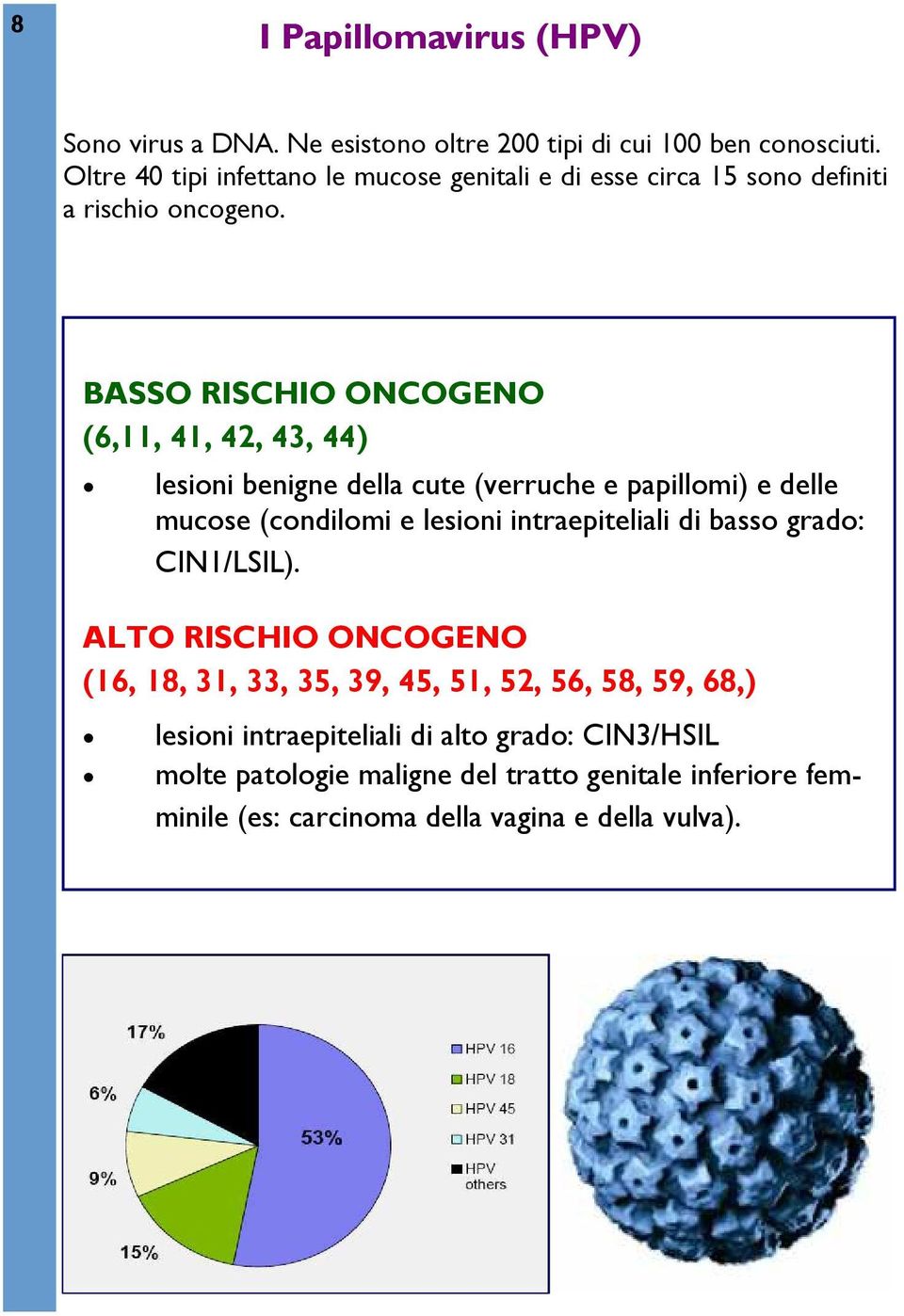 BASSO RISCHIO ONCOGENO (6,11, 41, 42, 43, 44) lesioni benigne della cute (verruche e papillomi) e delle mucose (condilomi e lesioni intraepiteliali di