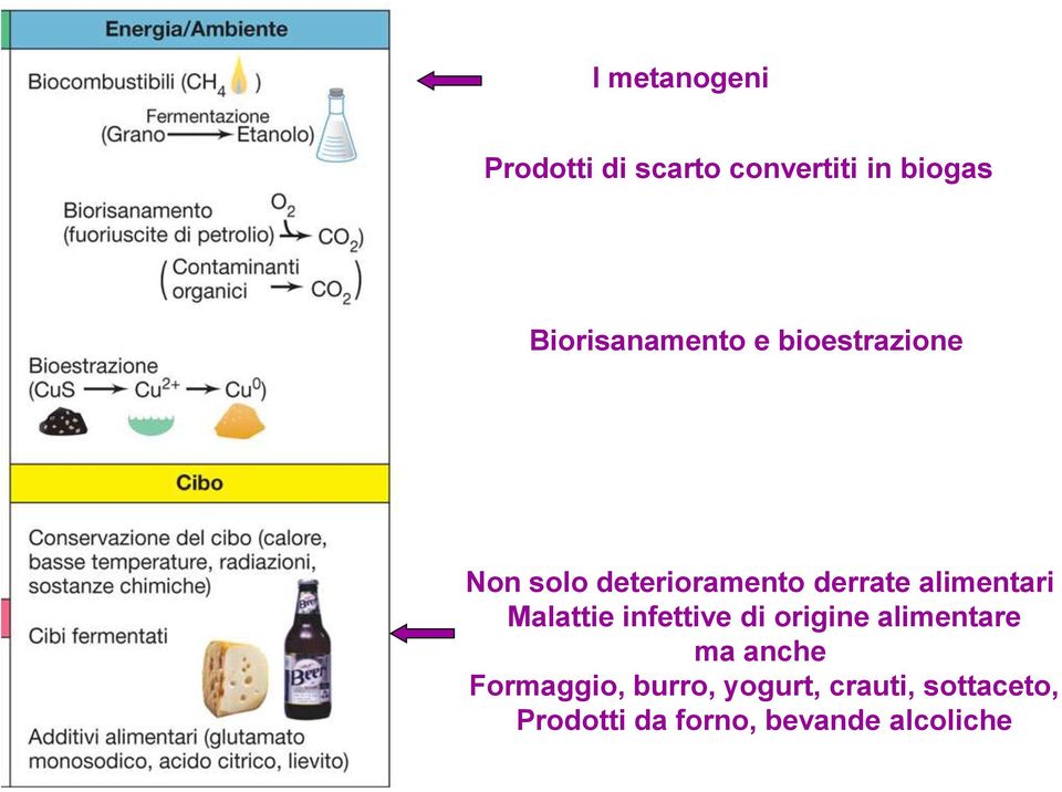 alimentari Malattie infettive di origine alimentare ma anche