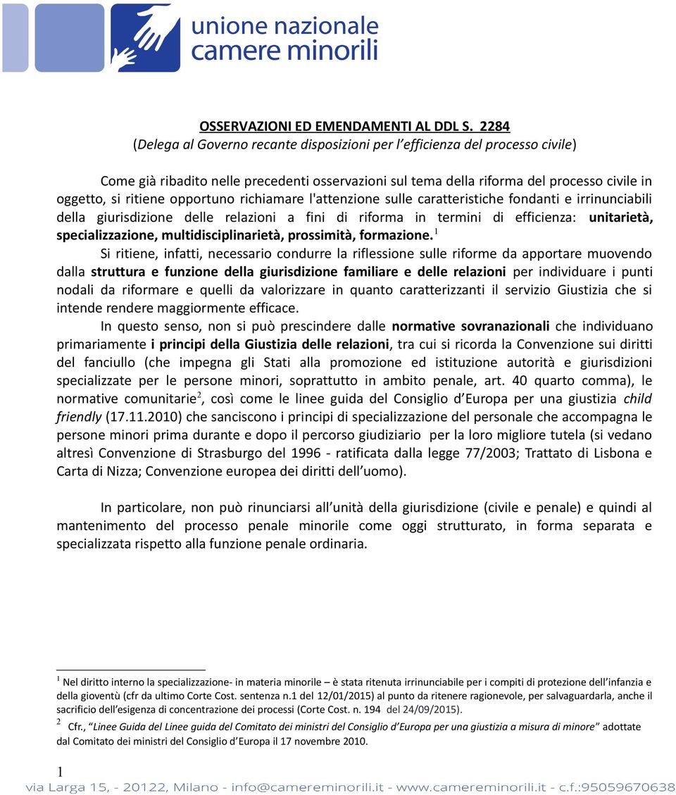 opportuno richiamare l'attenzione sulle caratteristiche fondanti e irrinunciabili della giurisdizione delle relazioni a fini di riforma in termini di efficienza: unitarietà, specializzazione,