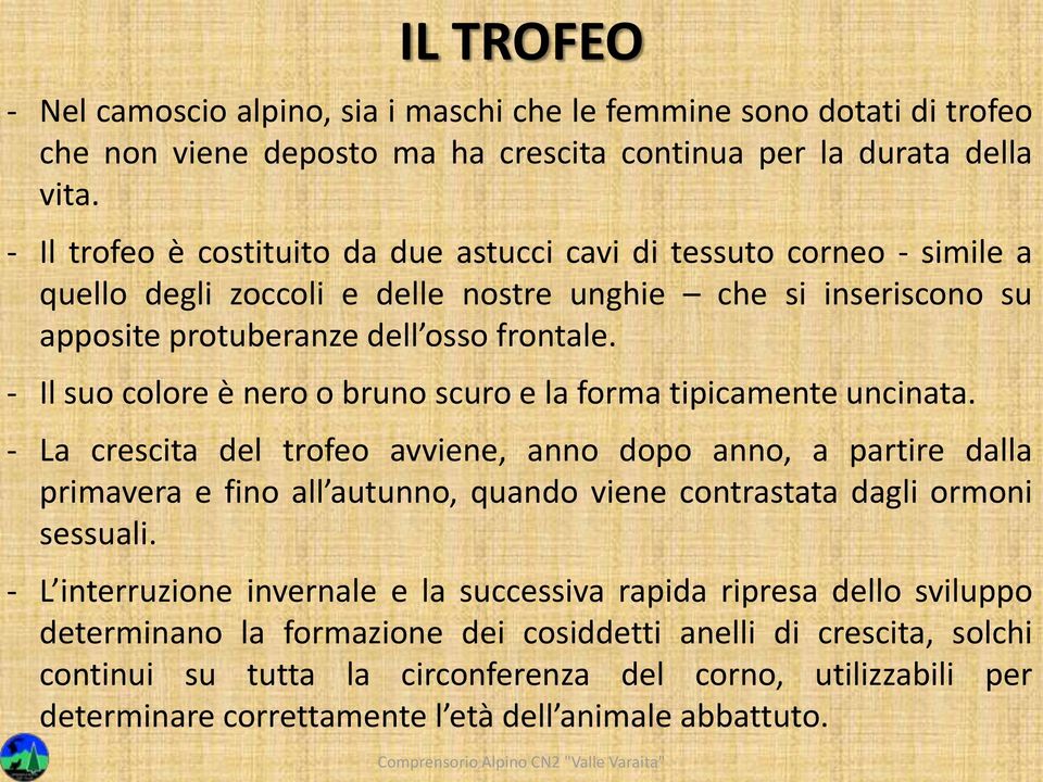 - Il suo colore è nero o bruno scuro e la forma tipicamente uncinata.