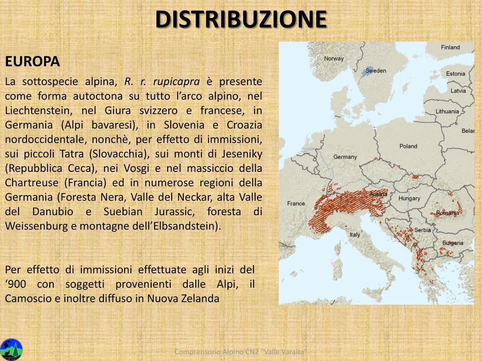 nordoccidentale, nonchè, per effetto di immissioni, sui piccoli Tatra (Slovacchia), sui monti di Jeseniky (Repubblica Ceca), nei Vosgi e nel massiccio della Chartreuse