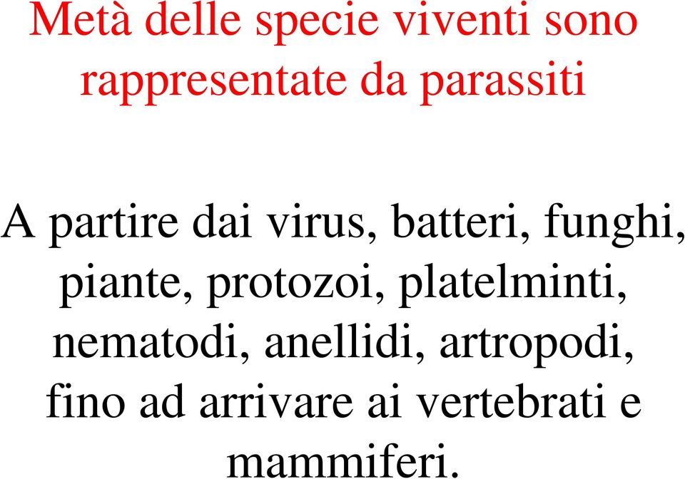 piante, protozoi, platelminti, nematodi, anellidi,