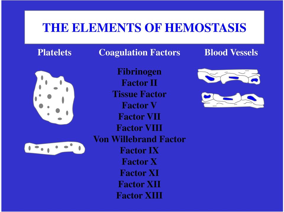 Factor VII Factor VIII Von Willebrand Factor Factor