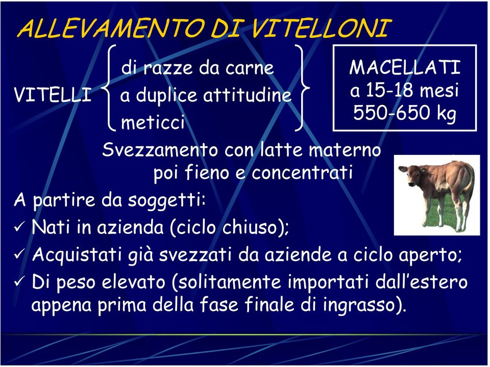 chiuso); MACELLATI a 15-18 mesi 550-650 kg Acquistati già svezzati da aziende a ciclo