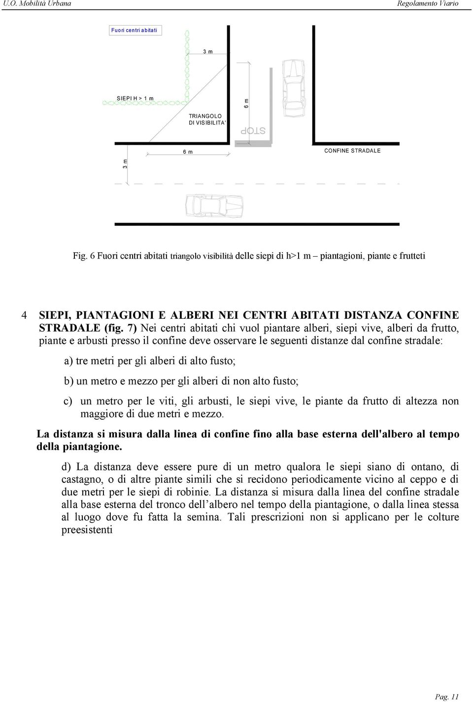 7) Nei centri abitati chi vuol piantare alberi, siepi vive, alberi da frutto, piante e arbusti presso il confine deve osservare le seguenti distanze dal confine stradale: a) tre metri per gli alberi