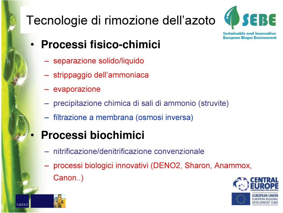 (struvite) filtrazione a membrana (osmosi inversa) Processi biochimici