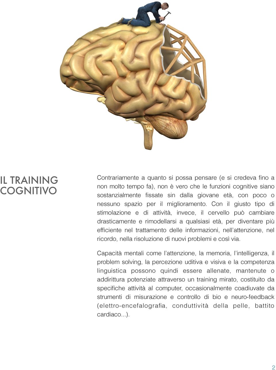 Con il giusto tipo di stimolazione e di attività, invece, il cervello può cambiare drasticamente e rimodellarsi a qualsiasi età, per diventare più efficiente nel trattamento delle informazioni, nell