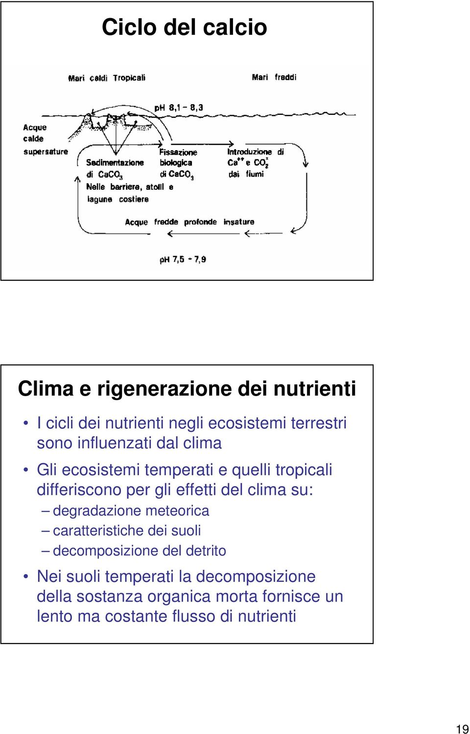 del clima su: degradazione meteorica caratteristiche dei suoli decomposizione del detrito Nei suoli