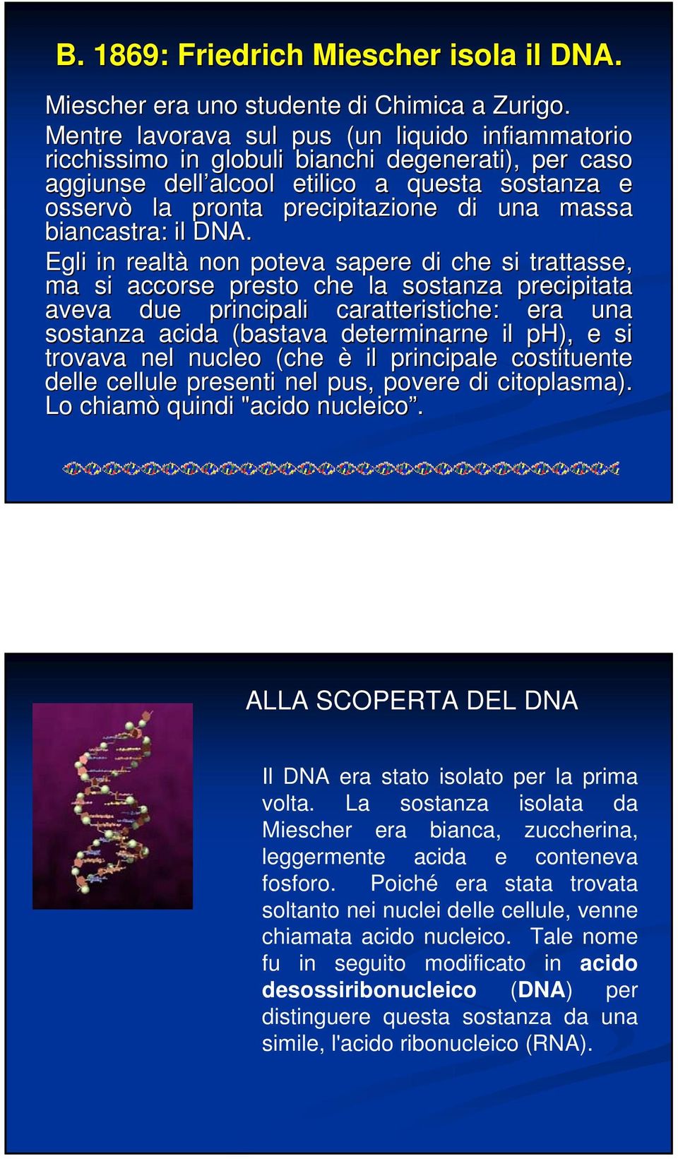 biancastra: il DNA.