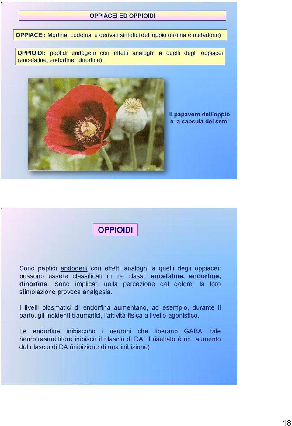 Il papavero dell oppio e la capsula dei semi OPPIOIDI Sono peptidi endogeni con effetti analoghi a quelli degli oppiacei: possono essere classificati in tre classi: encefaline, endorfine, dinorfine.