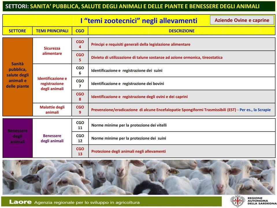 utilizzazione di talune sostanze ad azione ormonica, tireostatica Identificazione e registrazione dei suini Identificazione e registrazione dei bovini Identificazione e registrazione degli ovini e