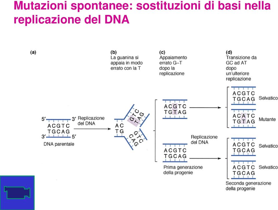 sostituzioni di