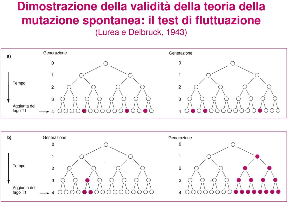 spontanea: il test di