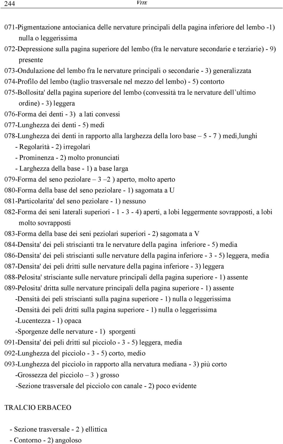 contorto 075-Bollosita' della pagina superiore del lembo (convessità tra le nervature dell ultimo ordine) - 3) leggera 076-Forma dei denti - 3) a lati convessi 077-Lunghezza dei denti - 5) medi