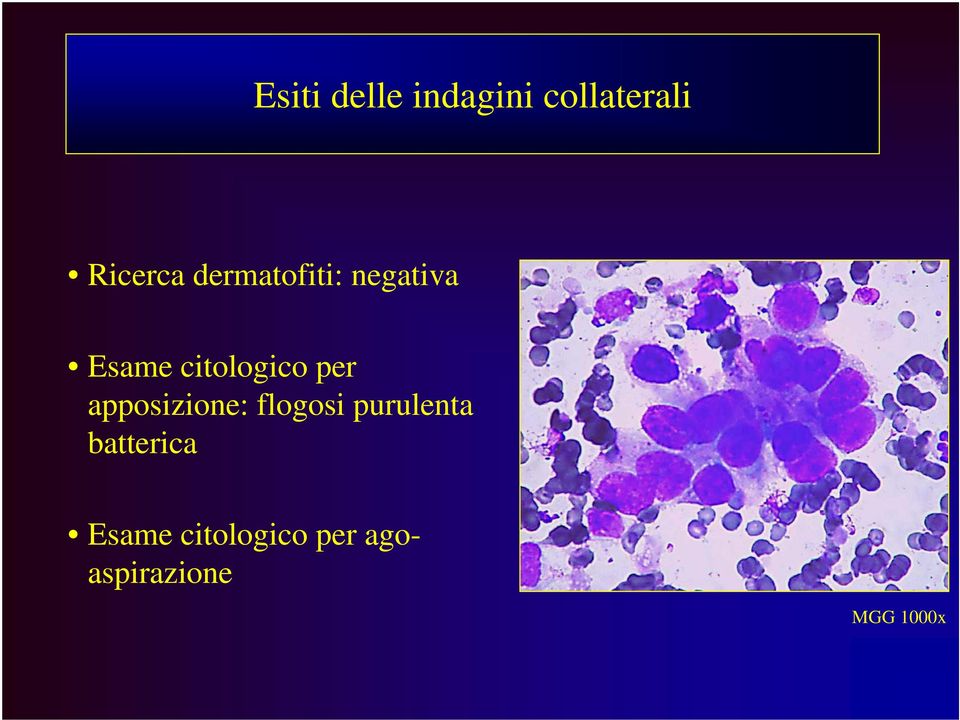 apposizione: flogosi purulenta batterica