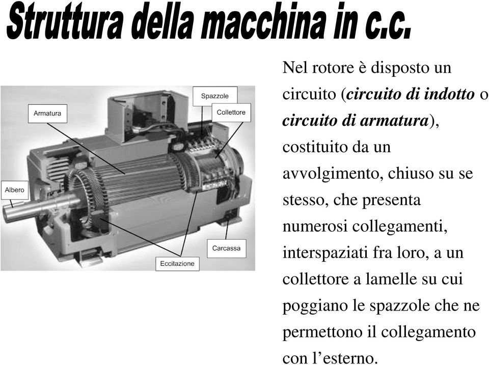 presenta numerosi collegamenti, interspaziati fra loro, a un collettore a