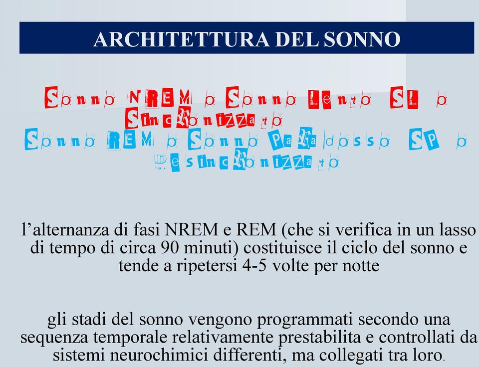 90 minuti) costituisce il ciclo del sonno e tende a ripetersi 4-5 volte per notte gli stadi del sonno vengono programmati