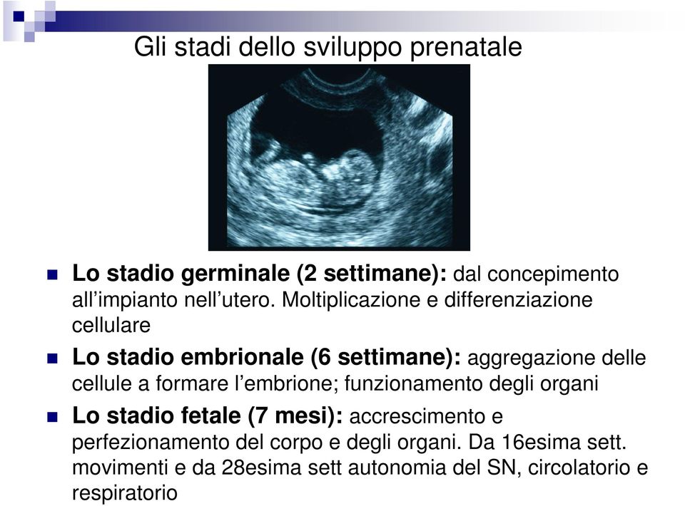 formare l embrione; funzionamento degli organi Lo stadio fetale (7 mesi): accrescimento e perfezionamento del