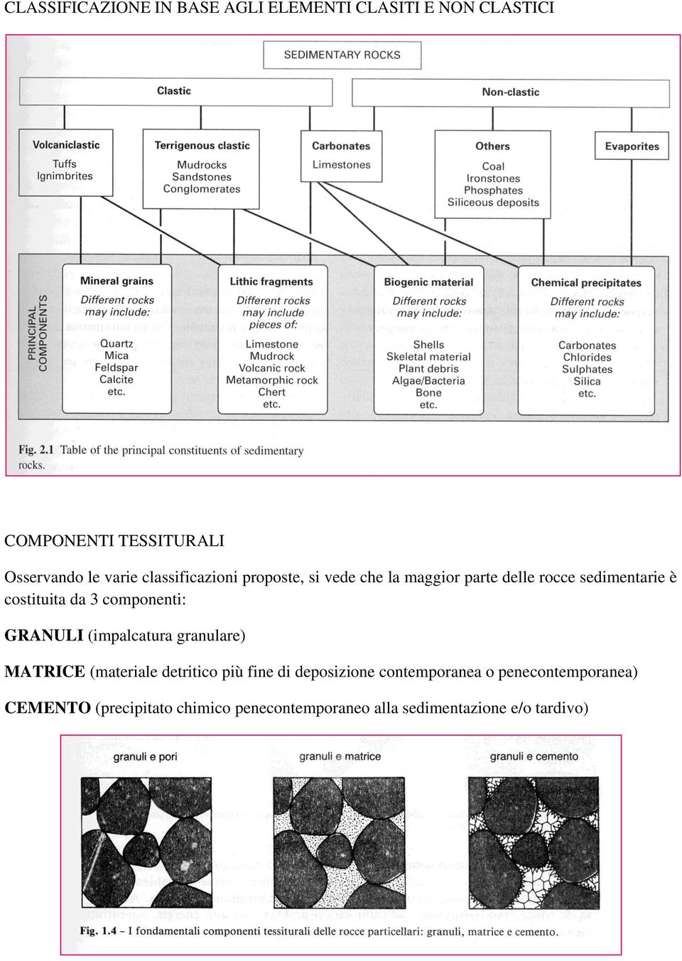 componenti: GRANULI (impalcatura granulare) MATRICE (materiale detritico più fine di deposizione