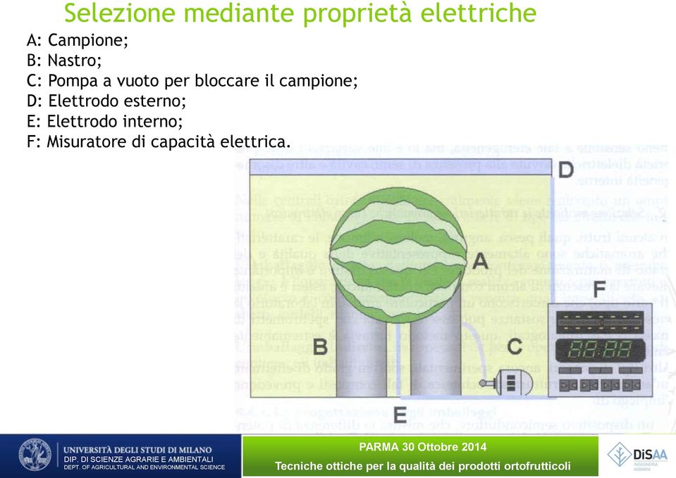 bloccare il campione; D: Elettrodo esterno; E: