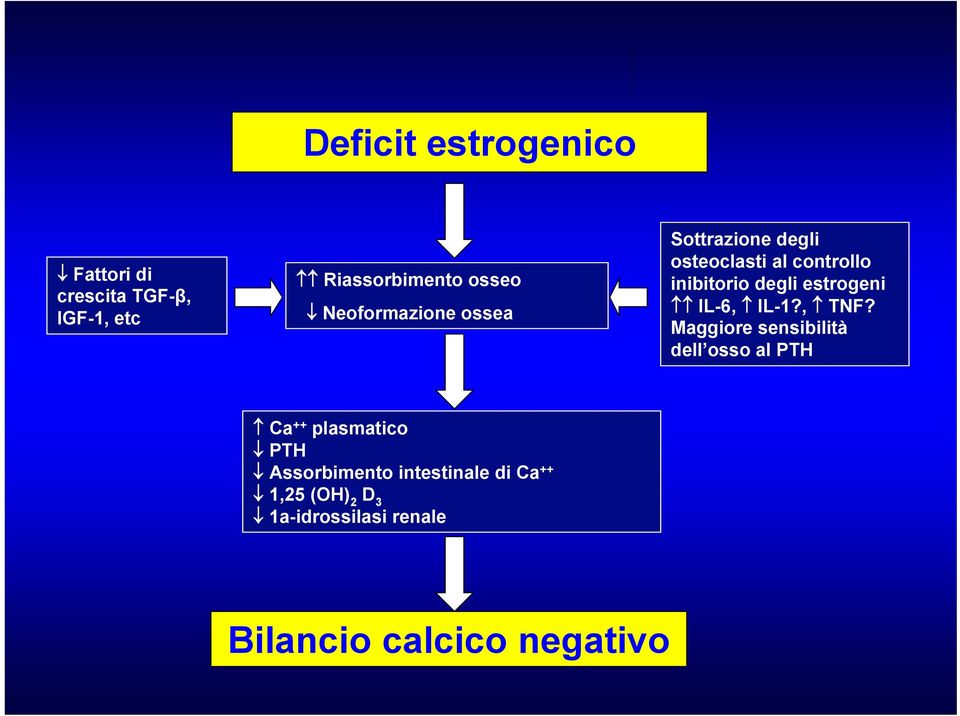 estrogeni IL-6, IL-1?, TNF?