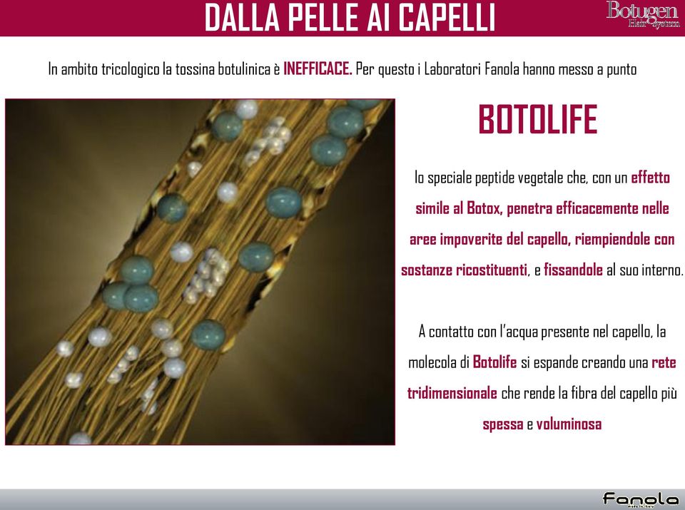 penetra efficacemente nelle aree impoverite del capello, riempiendole con sostanze ricostituenti, e fissandole al suo interno.