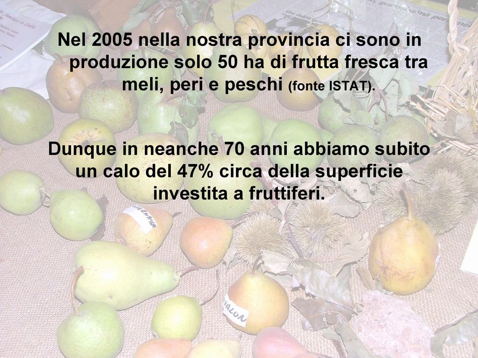 (fonte ISTAT).