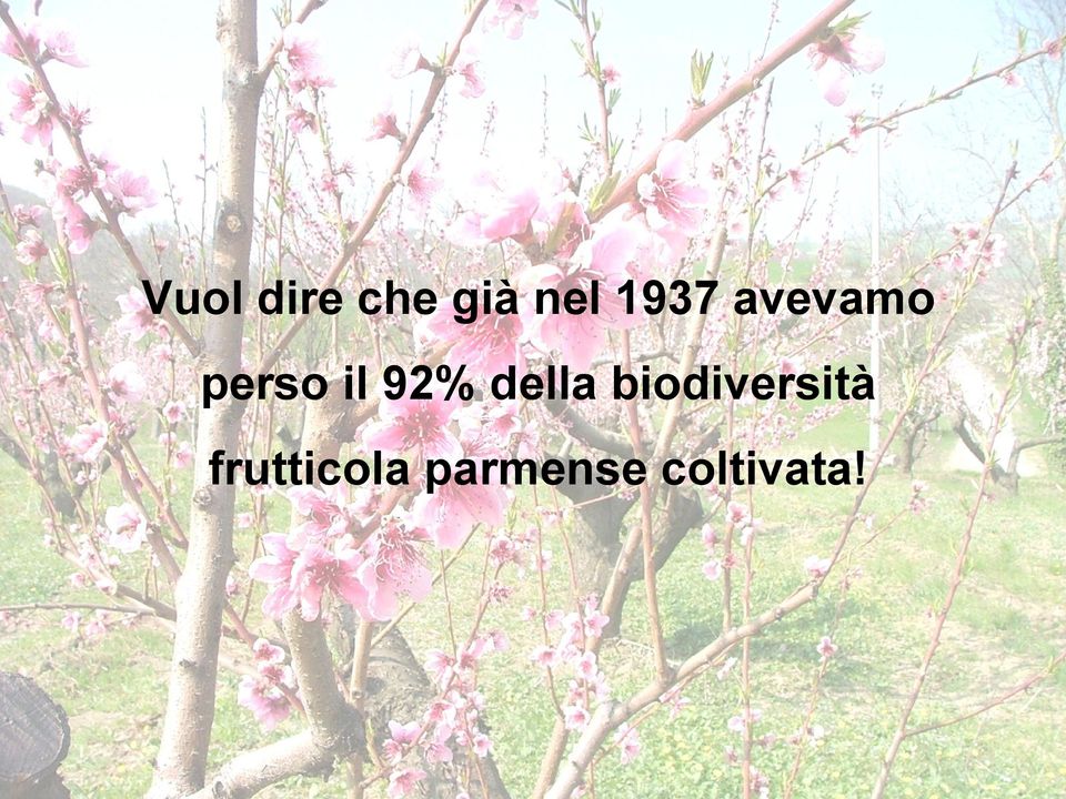 92% della biodiversità